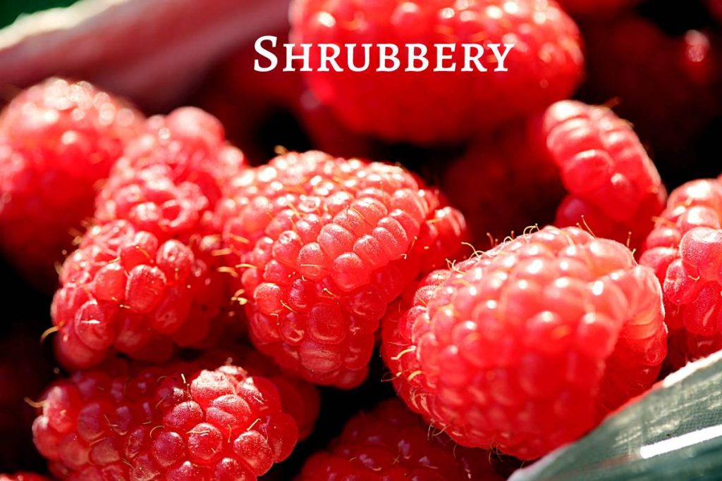 Shrubbery