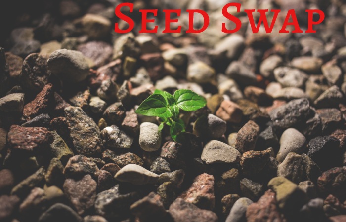 Seed Swaps