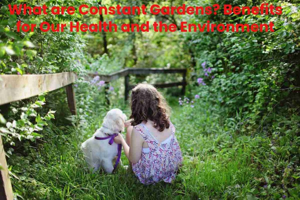 What are Constant Gardens? Benefits for Our Health and the Environment