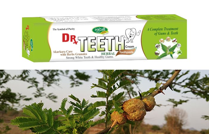 Benefits of Dr Teeth Toothpaste Swadashi Aayirvwda