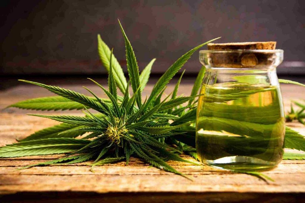 Hemp Oil Write For Us