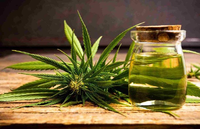 Hemp Oil Write For Us