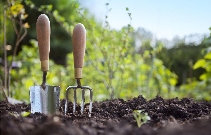 Garden Soil Write For Us