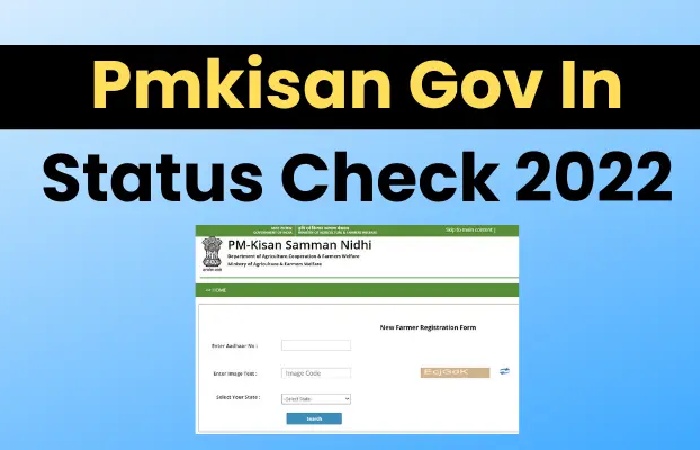 Check the Application Status