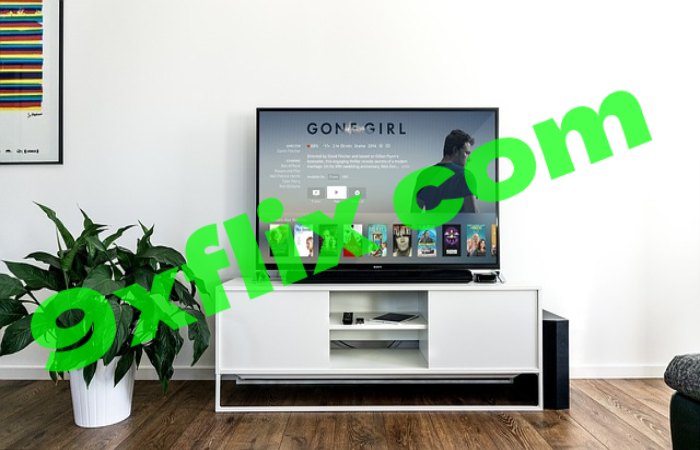How to Use 9xFlix