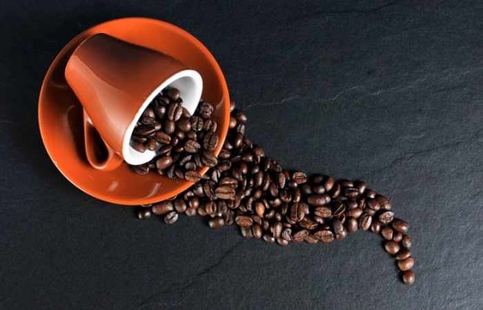 Types of Wellhealthorganic.Com Morning Coffee